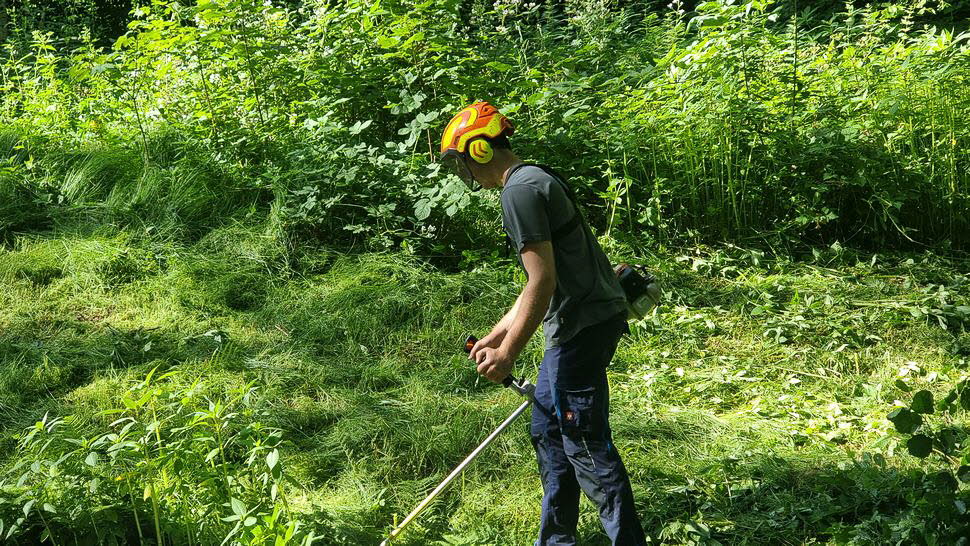 Arbeitseinsatz-Juni26-16