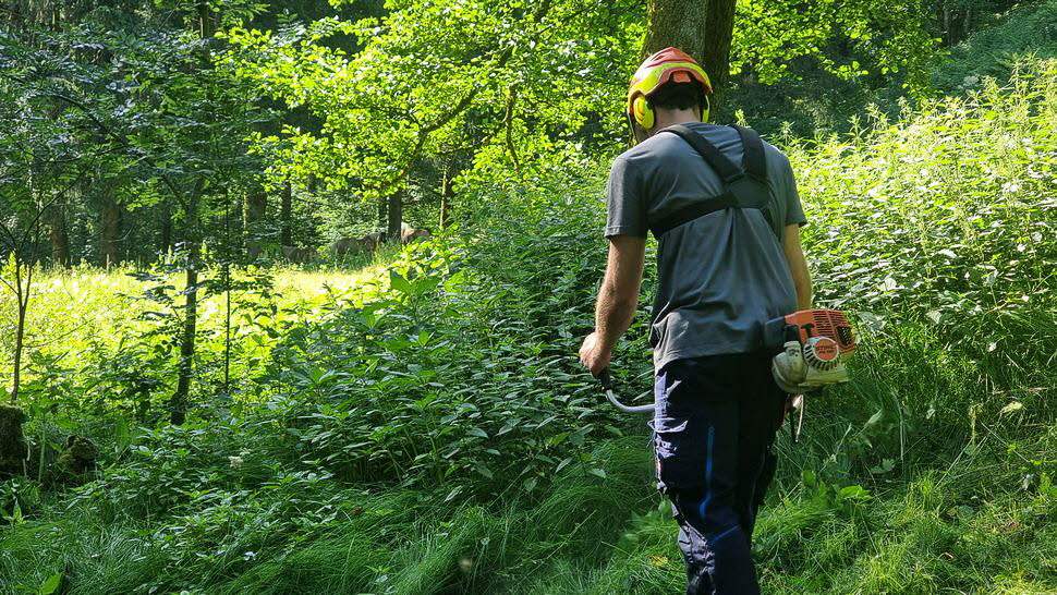 Arbeitseinsatz-Juni26-21