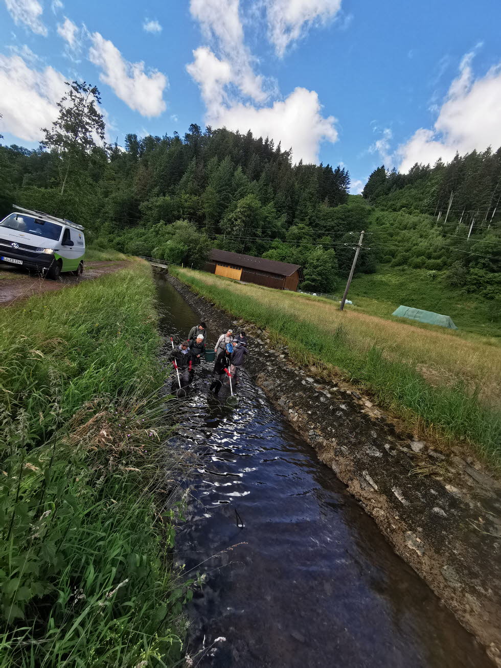 E-Fischen juni24 (12)