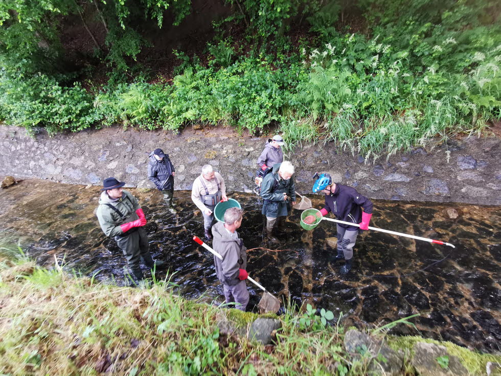 E-Fischen juni24 (2)