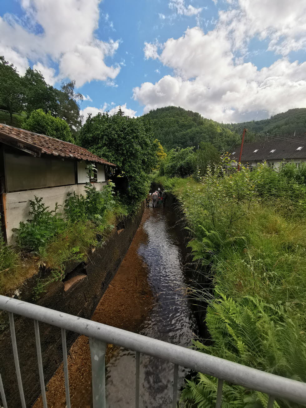 E-Fischen juni24 (4)