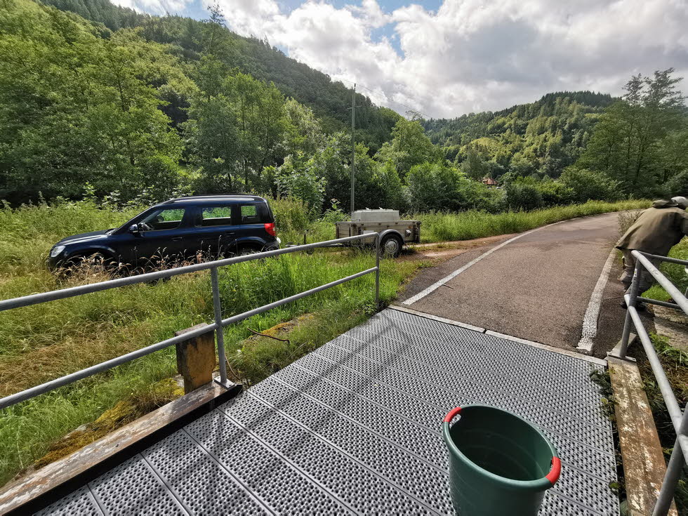 E-Fischen juni24 (8)