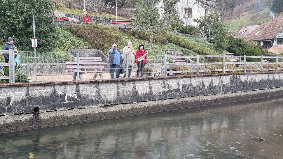 Fr�hjahrs-Wieseputzete26-18