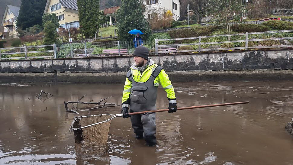 Fr�hjahrs-Wieseputzete26-22